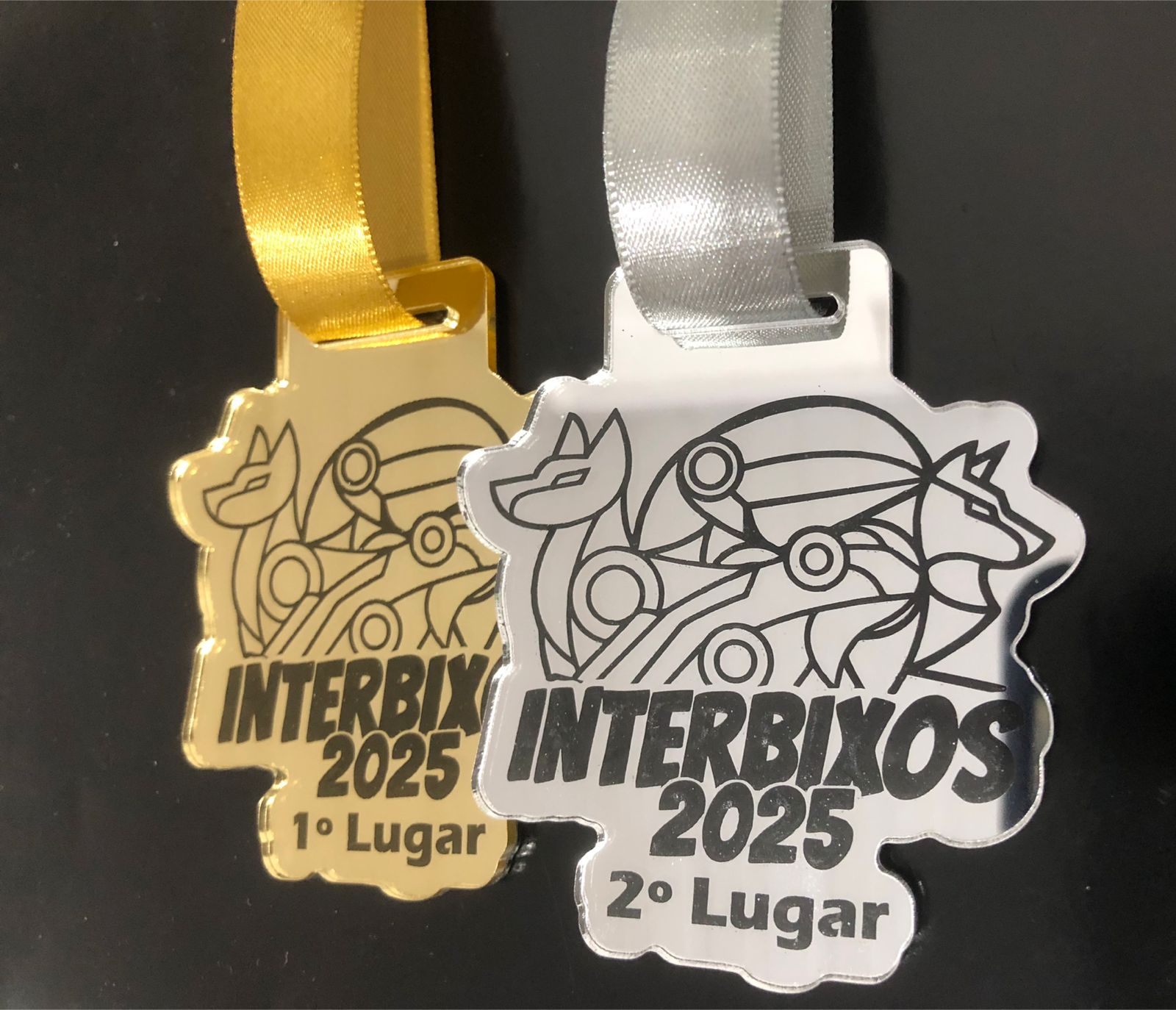 Medalha em Acrílico - Linha: Premium (Formato especial) - Medalhas - Imagem 4